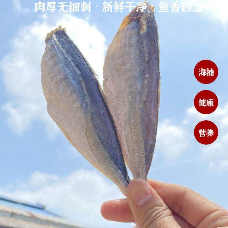 巴浪鱼干北海特产海鲜干货