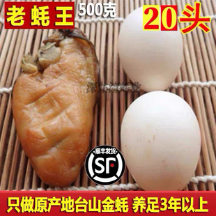 台山生晒金蚝王半干冷冻蚝豉海蛎子汶村生蚝干深井蚝非湛江金蚝
