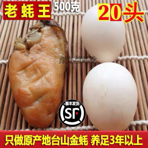 台山大金蚝原只生晒无抽油