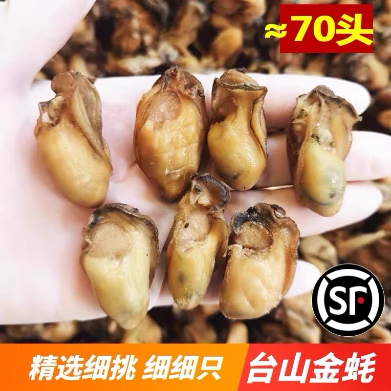 台山金蚝自产自销五六成干