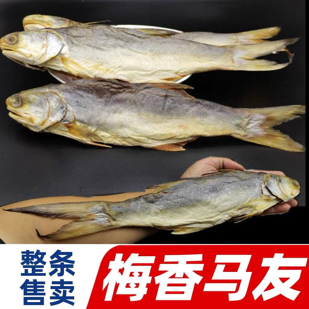 台山特产 广东梅香咸鱼 梅香马友 软绵粉嫩 广海马友鱼 非马鲛鱼