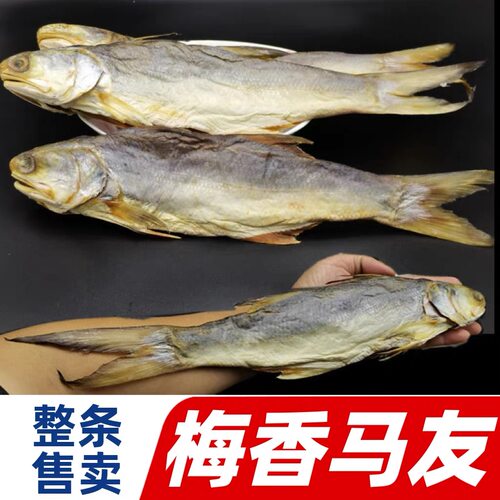 台山特产 广东梅香咸鱼 梅香马友 软绵粉嫩 广海马友鱼 非马鲛鱼