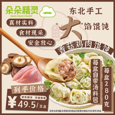 朵朵精灵.朵朵吉祥馄饨云吞抄手  香菇鸡肉馄饨5盒*280g 手工大馅