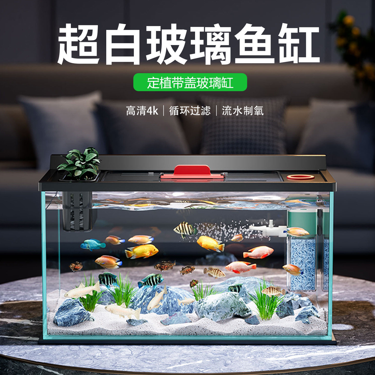 金晶超白玻璃鱼缸2026新款过滤制氧一体机小型客厅造景全套金鱼缸