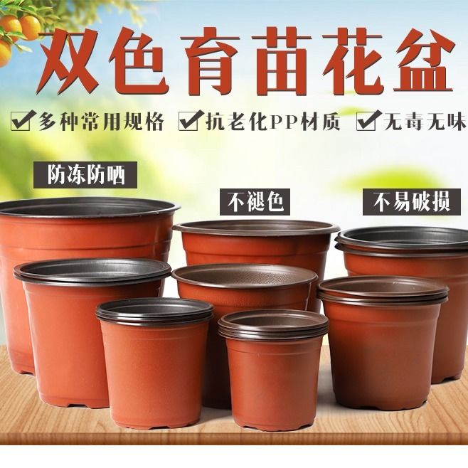 新疆包邮双色花盆育苗盆
