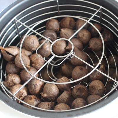 5L Black Garlic mFermenter Full Automatic Intelligent Contro