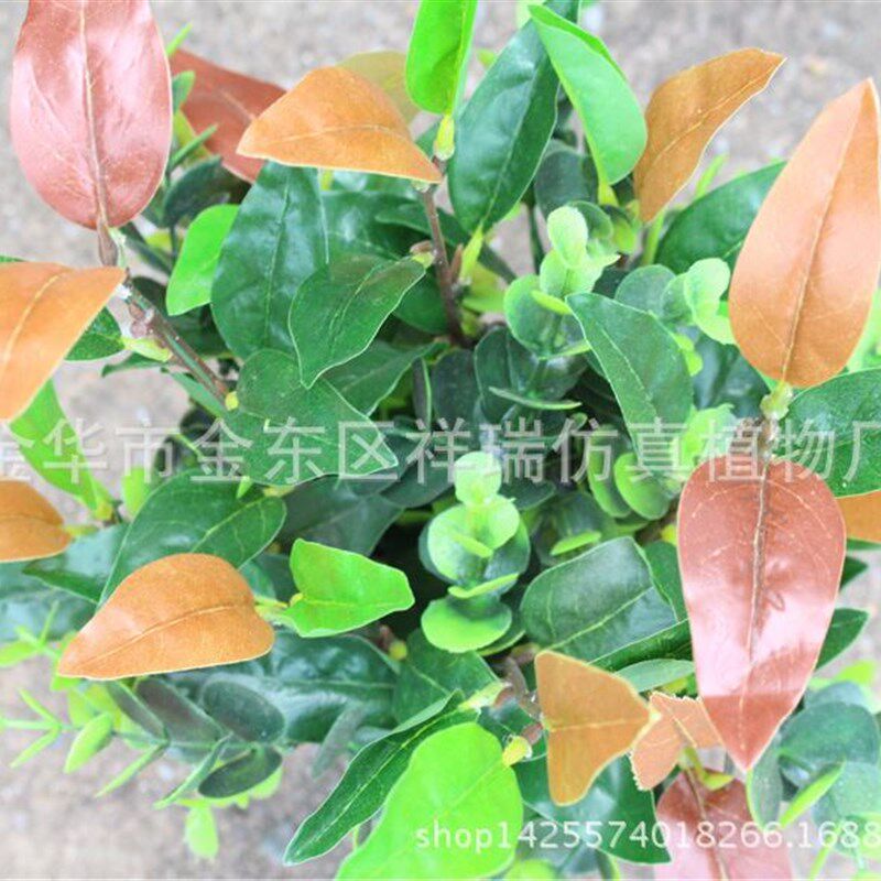 仿真植物落地盆栽0.o7米红色叶假树叶橄榄叶灌木月桂叶装饰摆设批