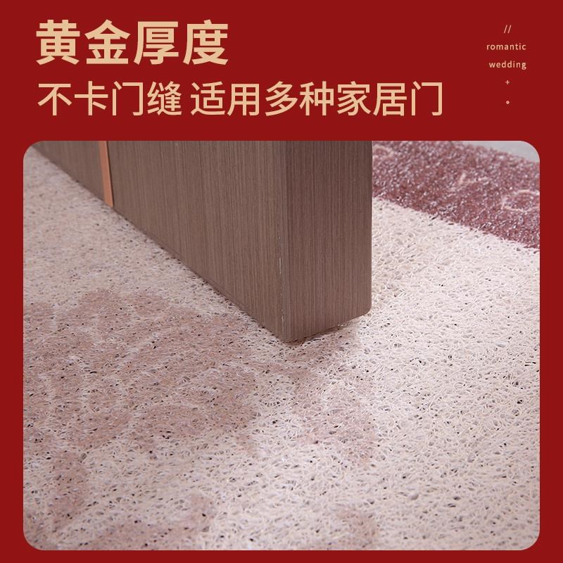 进门地垫入户门防滑脚垫PVC丝圈门口踏脚垫N子家用大门可裁剪地毯
