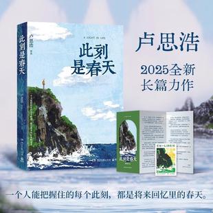 此刻是春天 卢思浩2025重磅新书，献给每一个经历事与愿违的你 随书附赠致读者手记折页+藏书票 愿有人陪你颠沛流离 长篇小说