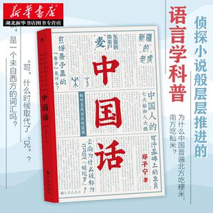 侦探小说般层层推进 郑子宁著 语言学科 九大领域 汉语方言文化书籍 得到2021年度好书 历史文化语言学习书籍 中国话