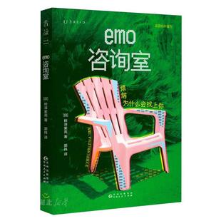 新华正版 emo咨询室:烦恼为什么会找上你 贵州人民出版社 (日)桦泽紫苑著
