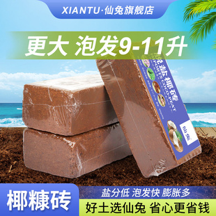仙兔椰砖营养土养花通用型花土椰糠脱盐种菜土壤压缩耶砖乌龟冬眠