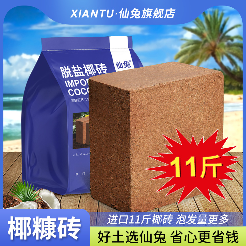 11斤更大块，泡发量更多