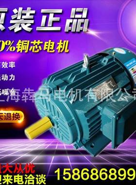 380vYE2三相异步电动机3wYE2100L2-4极电机Y2YVFYX3YD