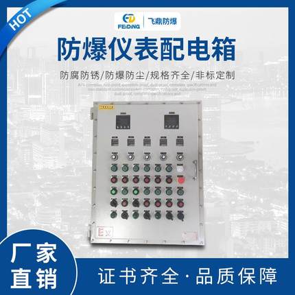 防爆仪表配电箱仪表带按键防爆箱立式钢板变频器防爆控制按钮箱
