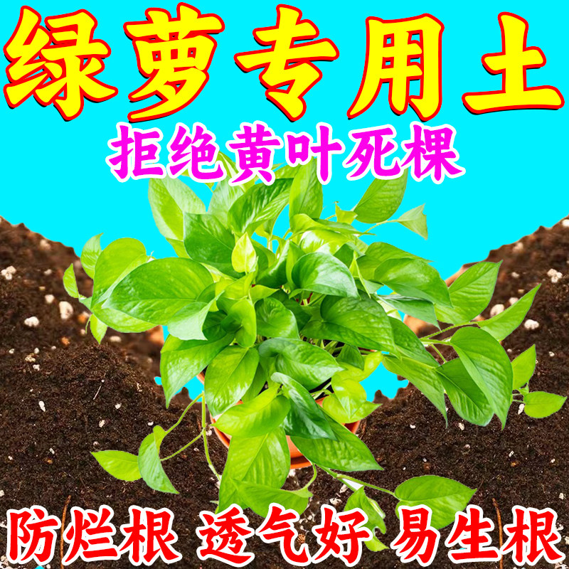 绿萝营养土养花通用型