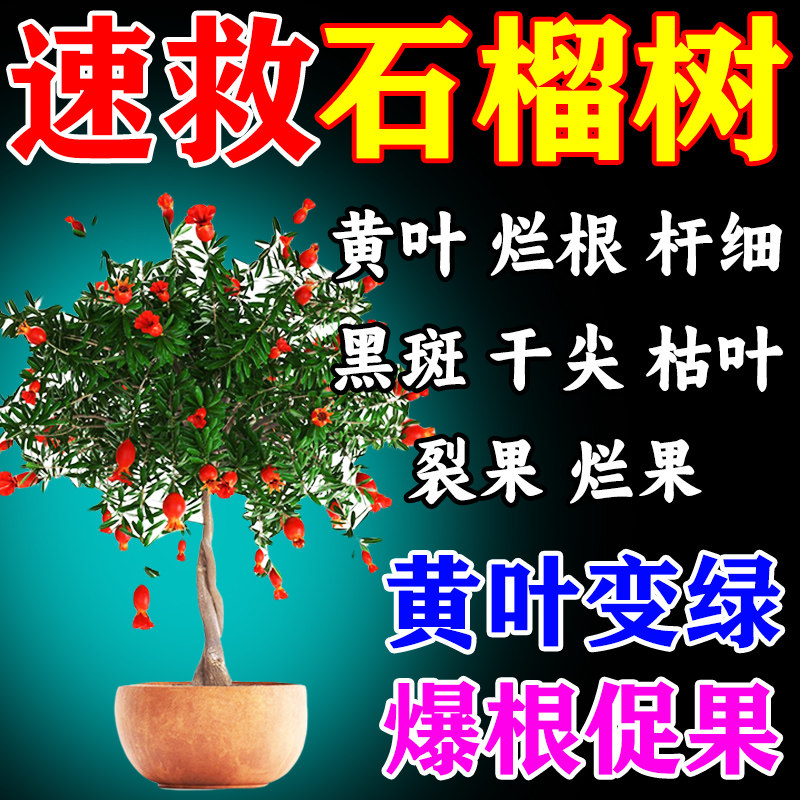 石榴树专用肥开花结果营养液
