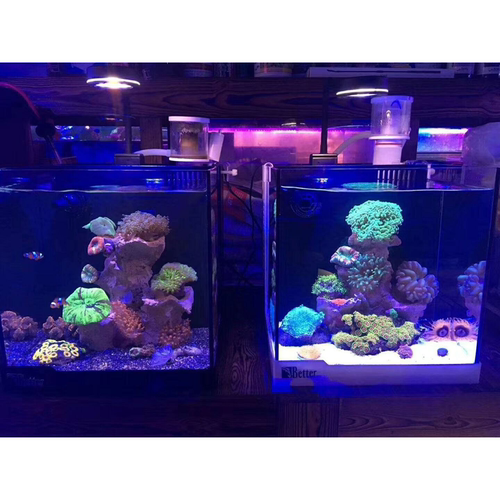 海智能LED水族海缸灯海水A052 Q2-B  030 灯全光谱珊瑚灯