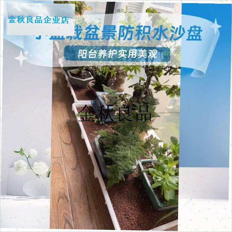 微盆小微盆景专用养护沙盘v园艺小盆栽植物保湿沙床透气孔促生根,