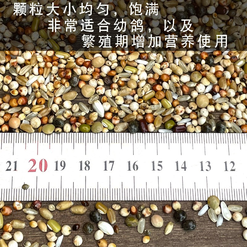 极速A级 小颗粒鸽粮育雏喷窝幼鸽种鸽饲料鸟粮Q鸟食赛鸽信鸽观赏