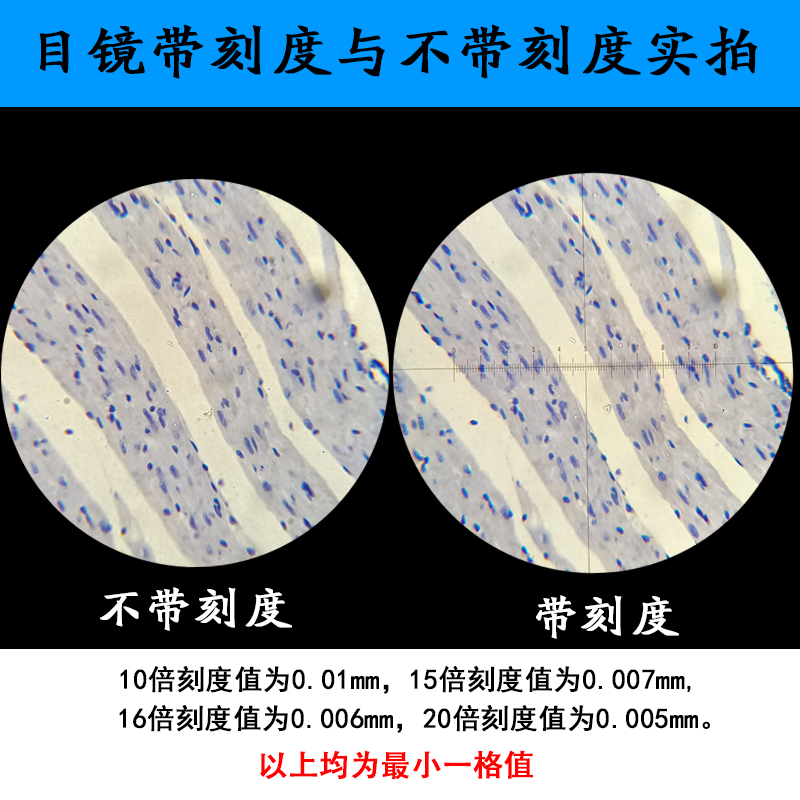 极速生物显微镜广角目镜WF5X,WvF10X,WF16X,WF20X倍,接口23.2M