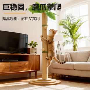 超高超粗猫爬架立式抓板耐抓实用巨稳固猫咪玩具用品中大型猫树