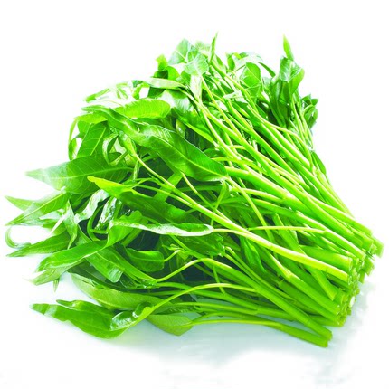 柳叶空心菜种子  阳台家庭庭院种菜盆栽有机种子  大叶空心菜