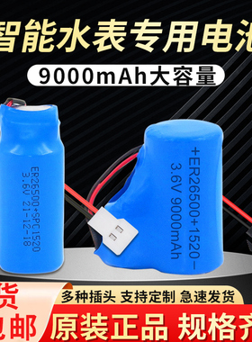 ER26500+1520物联网流量计3.6V智能水表电仪表专用电池组C型2号