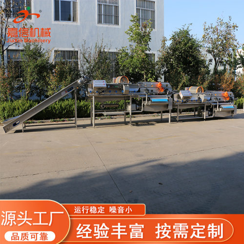 多功能黑水虻清洗机 面包虫清洗烘干机 虫子清洗深加工成套设备