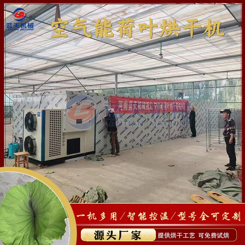 荷叶烘干机 鲜荷叶荷衣荷叶茶烧颗粒烘干房 整张荷叶藕叶烘干设备