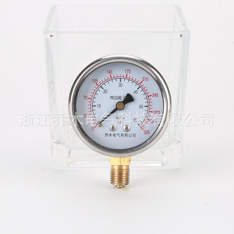 锚杆压力表螺纹千牛表内充硅油325KN-60锚杆测力计60mpa,鲜花速递/花卉仿真/绿植园艺,其它园艺用品,淘宝优惠券,粉丝福利购,淘宝优惠卷