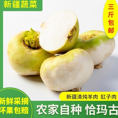 新疆起恰玛古新鲜当季蔓菁蔬菜