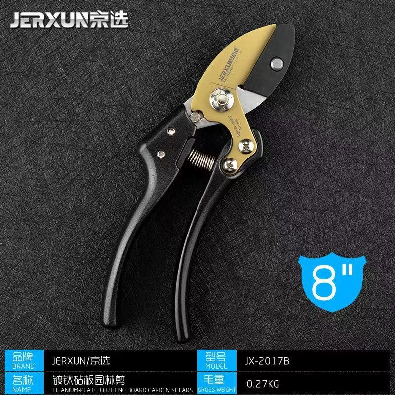 京选剪枝剪刀修枝剪园艺剪园林y省力粗枝剪子花艺果树修剪树枝工