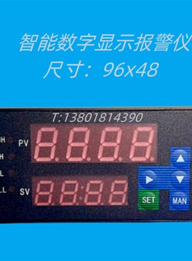NPXM-2012P5W NpPXM-2012P5N智能数字显示报警仪 智能数显仪160x8