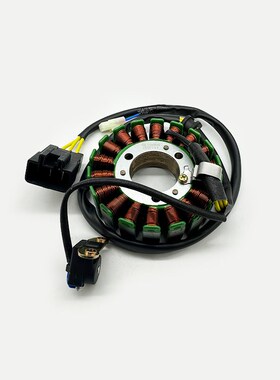 适用春风CF250-6线圈 CF2w50NK 250SR磁电机点火线圈 定子总成