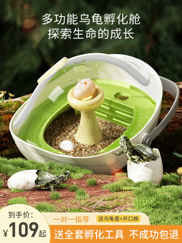 乌龟蛋可孵化成长仓活物爬台晒台专用乌龟缸宠物饲养箱小龟别墅盒