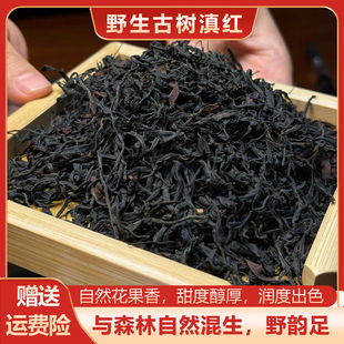 【野生古树红】正宗云南凤庆荒野红茶特级送礼自用茶自然花果香型
