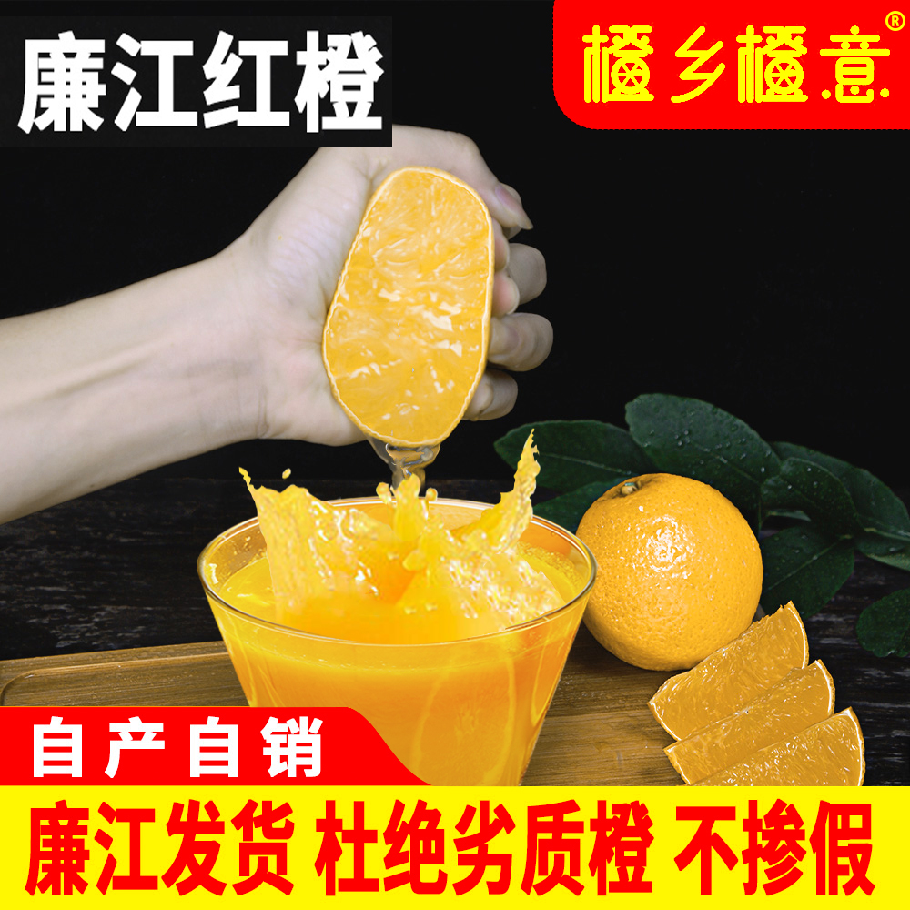 正宗廉江红橙红江农场橙子