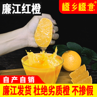 正宗廉江红橙红江农场橙子现摘广东湛江红光橙红心橙10斤礼盒装