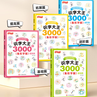 幼儿园识字大王3000字无图版 大班学前班儿童识字幼小衔接认字教材宝宝启蒙早教书基础篇提高篇进阶篇超越篇有声伴读五彩状元