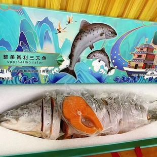 顺丰整条三文鱼礼盒切段礼盒塑封包装4斤左右一条三文鱼礼盒