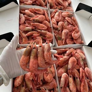 俄罗斯马加丹大虾一盒二斤刺身虾熟冻大虾