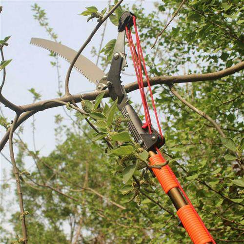 极速8米加长伸缩高空剪刀高枝y剪摘果器果树修枝剪高空锯园林工具