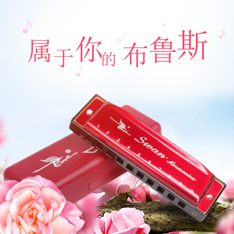 极速10孔蓝调口琴 Cu调儿童初学者成人蓝调十孔入门口琴乐器