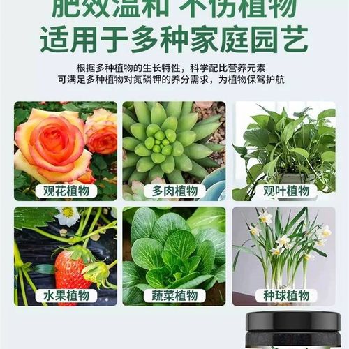 极速微生物土f壤活化剂活化宝矿源黄腐酸钾微生物菌肥松土壤板结