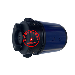 220V 直流伺服马达 123W 1500转 直流减速 极速11a0SZ02 卧式