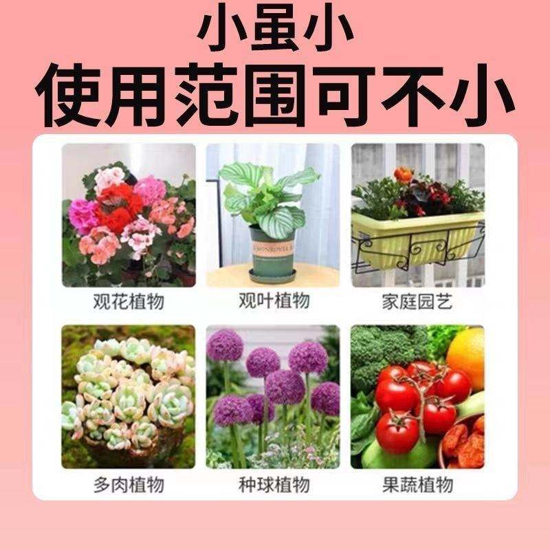 极速植物营养棒绿植肥缓释棒w营养棒花肥料家用养花通用型盆栽植