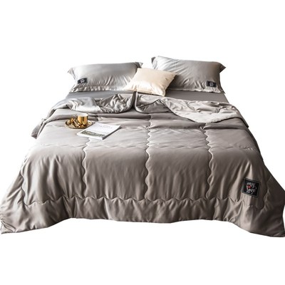 极速Washable sujmmer ice silk air conditioning thin quilt ad