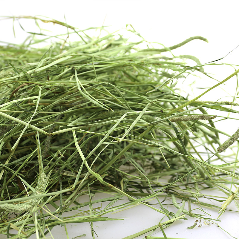速发21年新提摩西草干草兔子兔粮龙猫粮食用品豚鼠荷兰猪饲料牧草
