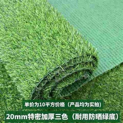 极速假草皮围挡塑料草植物t隔热墙室内楼顶阳台色微景观地垫背景
